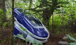 瑞士警方逮捕了两名协助美国妇女在未经批准的Sarco吊舱中死亡的人