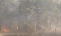 野火烧焦了美国和加拿大的大片地区，一架加油机在俄勒冈州坠毁，造成一名飞行员死亡