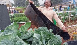 让我们通过创新的资金使农业可持续发展