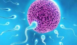 生育技术提高了生育成功率，给没有孩子的夫妇带来了希望