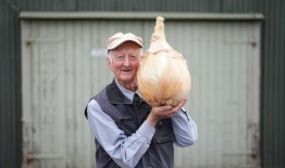 南瓜、洋葱和防风草在大型蔬菜比赛中展出