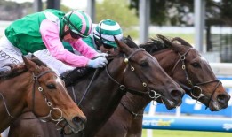 新西兰队在500万澳元的考尔菲德杯上表现不佳