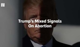 玛吉·哈伯曼解释为什么利兹·切尼的哈里斯举动会激怒特朗普