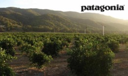 巴塔哥尼亚用100万美元资助加州农场革命
