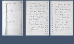 萨拉·沙里夫：一个10岁的女孩死前“头上缠着塑料袋，被板球棒击中”