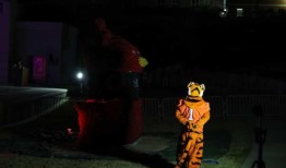 老虎被烧死了，公鸡在棕榈碗前安息了