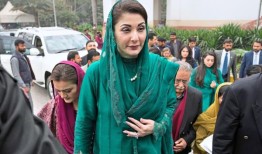 巴基斯坦的政治贵族：很好的例子