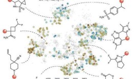 筛选发现了数千种“不坚固但可药物化”的蛋白质