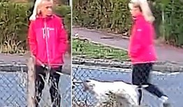 心碎的家庭向六个孩子的母亲致敬，她在清晨遛狗袭击后死亡