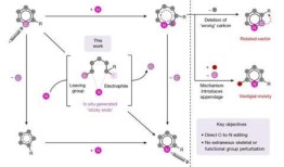 简单地将芳香碳交换为氮的骨骼编辑将有助于药物的发现