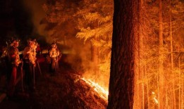 加州公园大火的照片