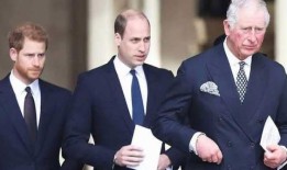 查尔斯国王在威廉王子和哈里的恩怨中迈出了重要一步
