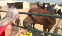 奥罗拉警方表示，周一离家出走的失踪成人已被安全找到