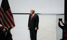 纽约能打赢老鼠之战吗？