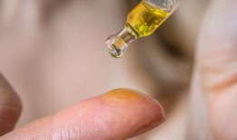 塔拉索娃批评了俄罗斯电视频道拒绝转播奥运会的决定