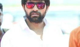 在2024年剩下的时间里，越南南部将缺乏新的工业供应