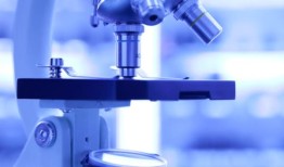 复杂类器官工程的新途径