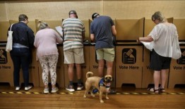 你需要知道的关于地方议会选举的一切