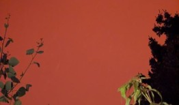 随着野火席卷整个地区，烟雾笼罩了加拿大西部和美国