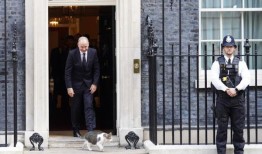 猫拉里在唐宁街训练另一位首相