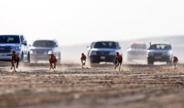 阿尔加纳斯协会赛路基赛车锦标赛将于本周六开始报名